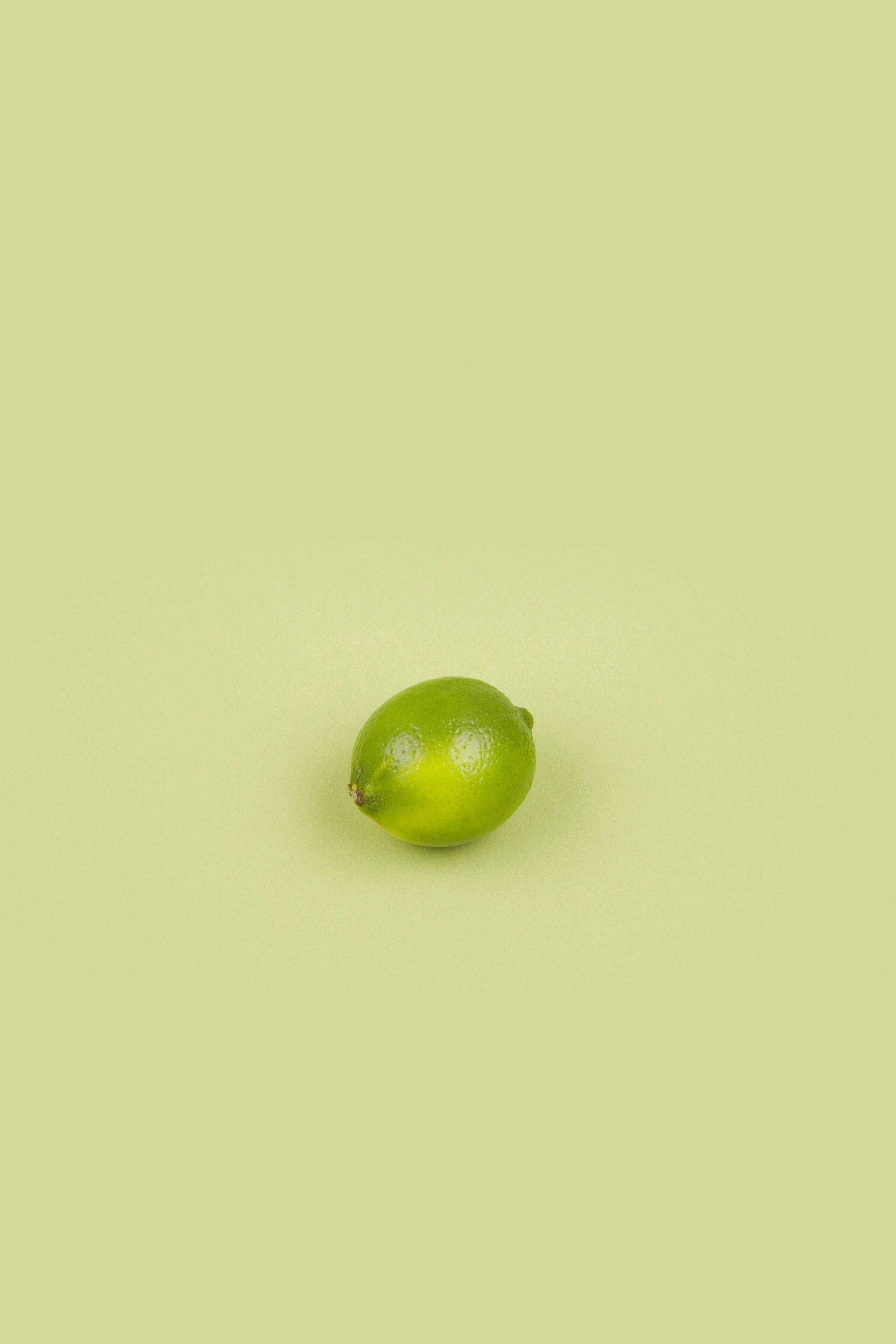Früchte